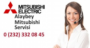 İzmir Alaybey Mitsubishi Servisi